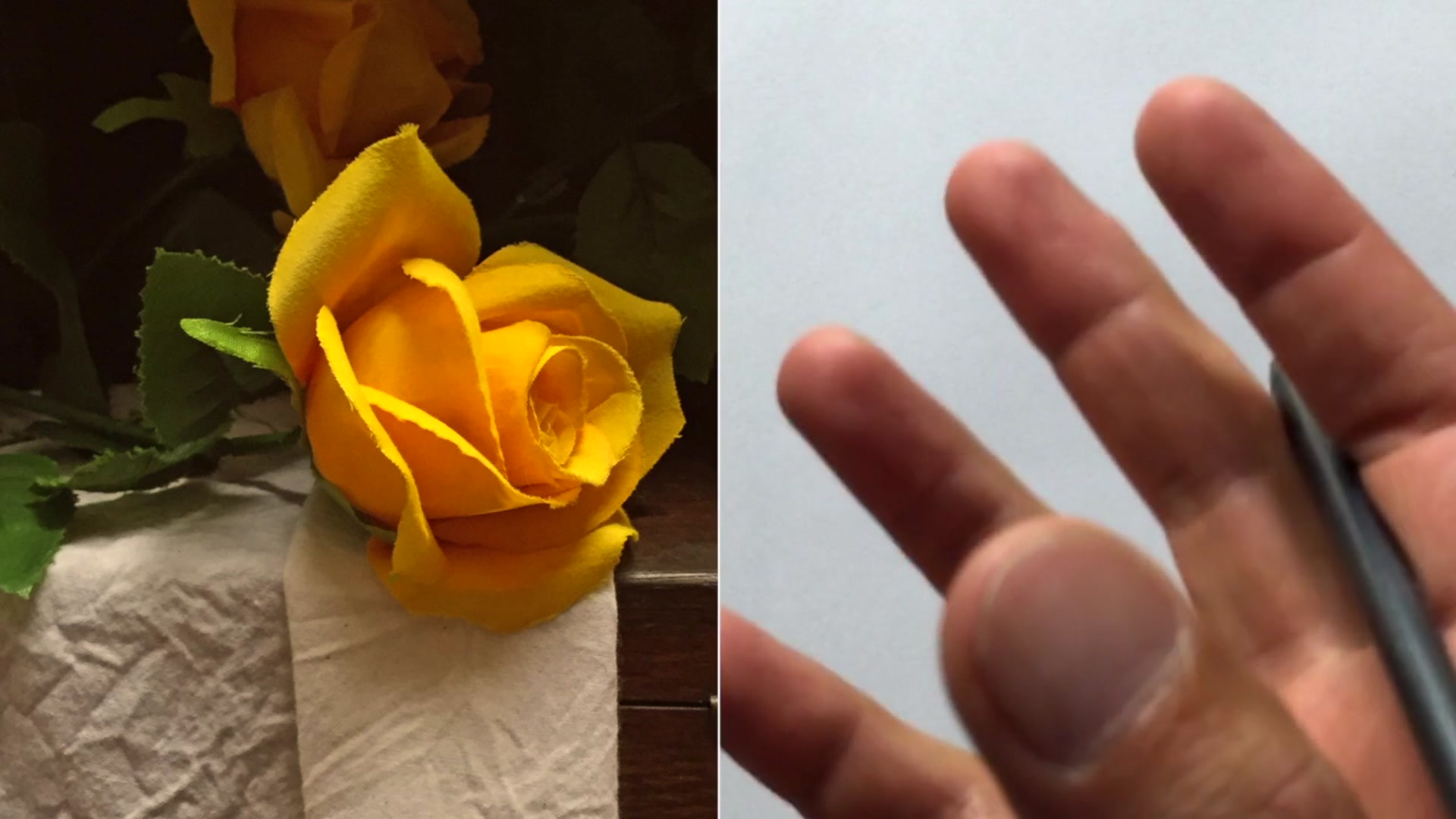 Step 2 — Drawing the Rose (video frame from the lesson)