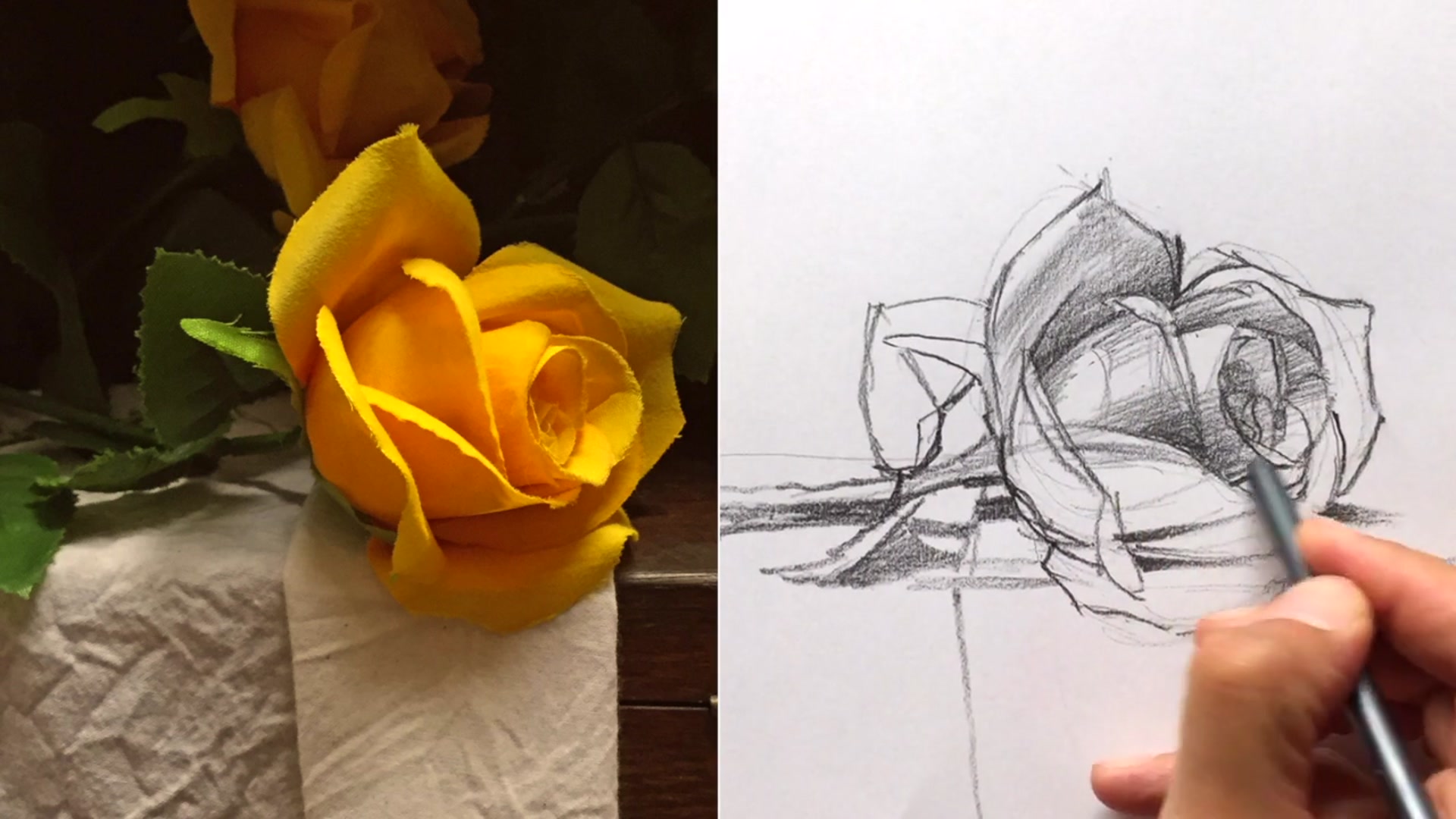 Step 3 — Shading and Light Comparison (video frame from the lesson)