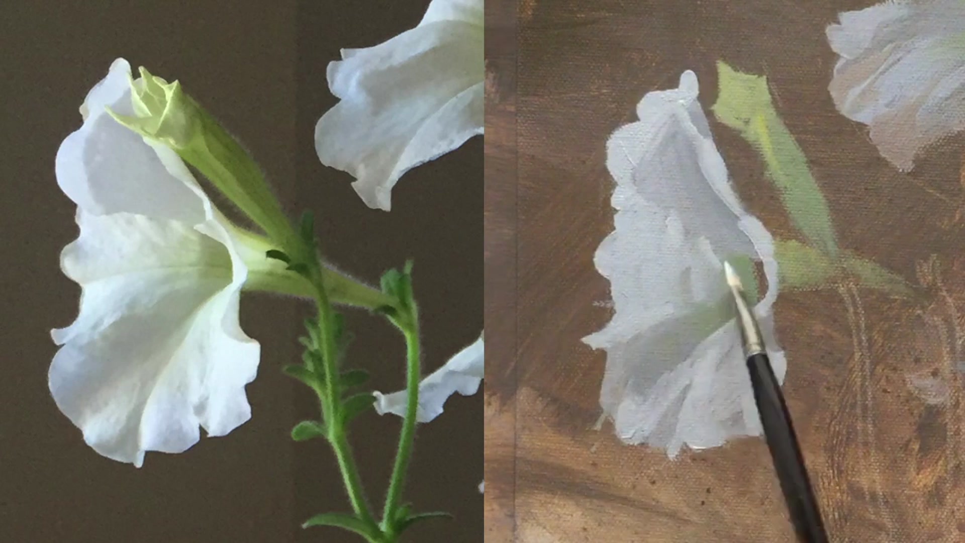Step 10 — Adjusting colors and edges (video frame from the lesson)