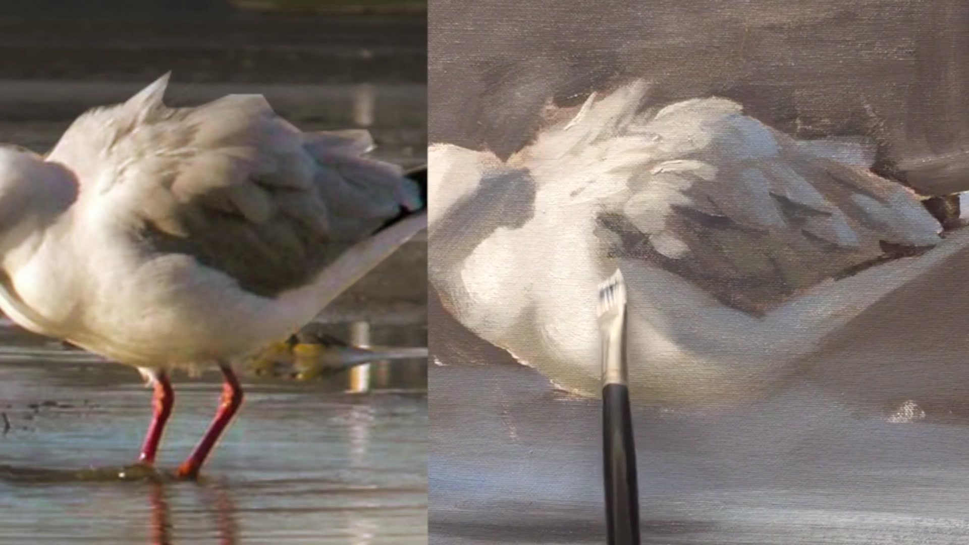 Step 16 — Texturing Feathers (video frame from the lesson)