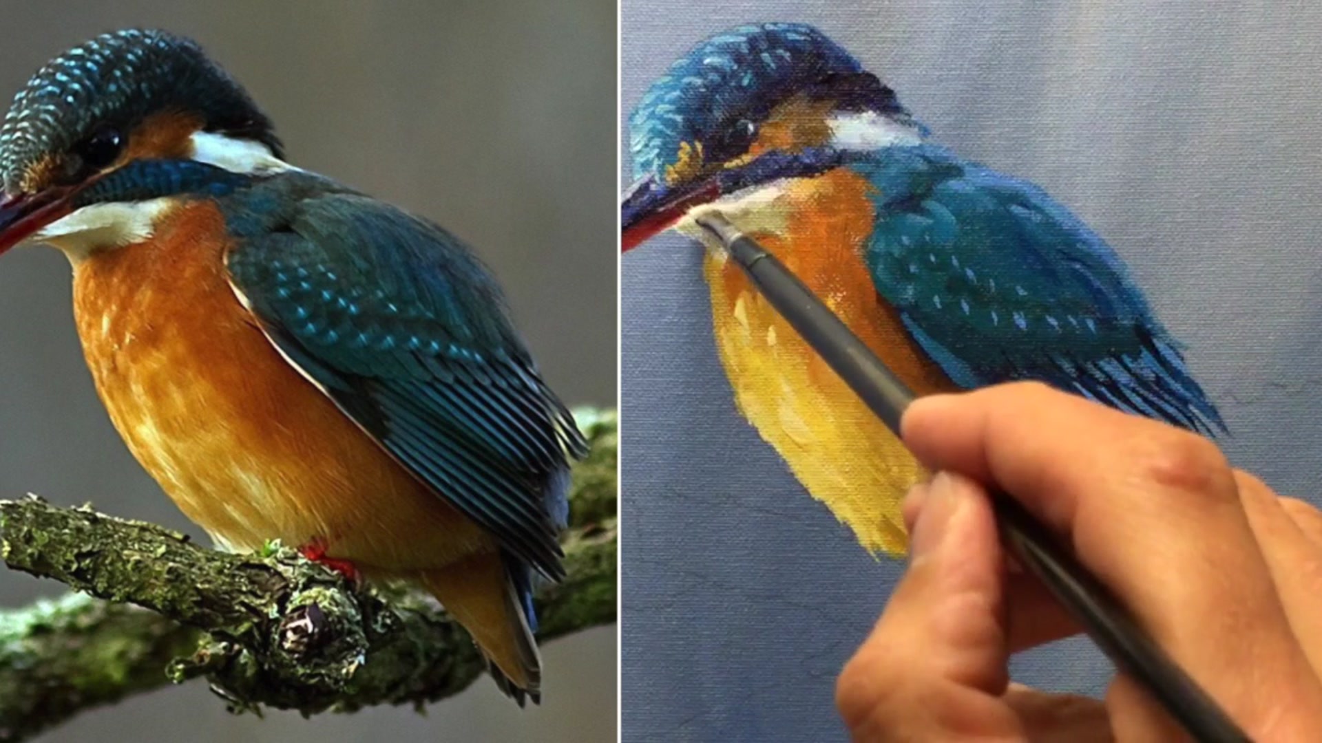 Step 10 — Adding final details to the bird (video frame from the lesson)