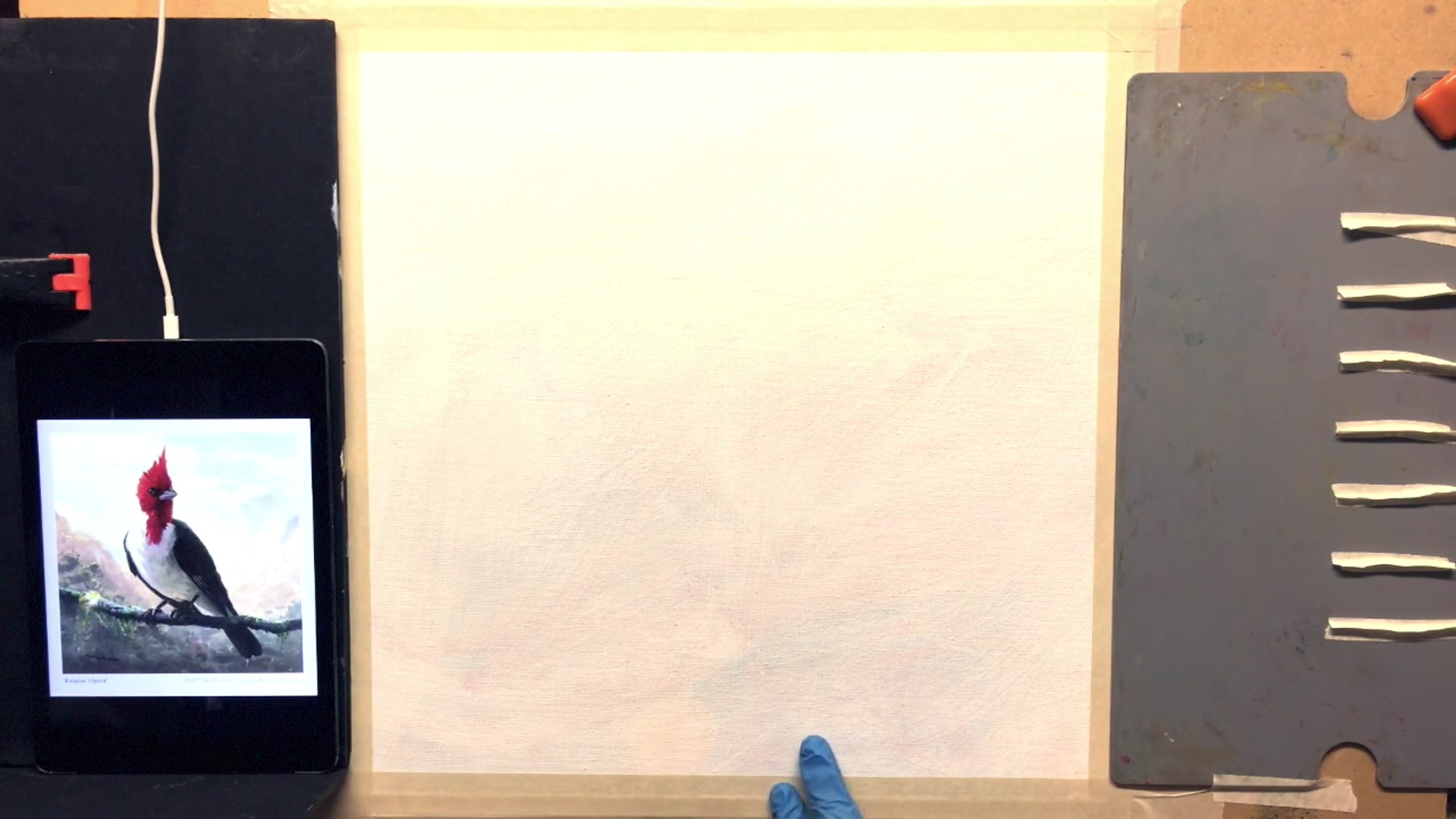 Step 1 — Canvas preparation (video frame from the lesson)