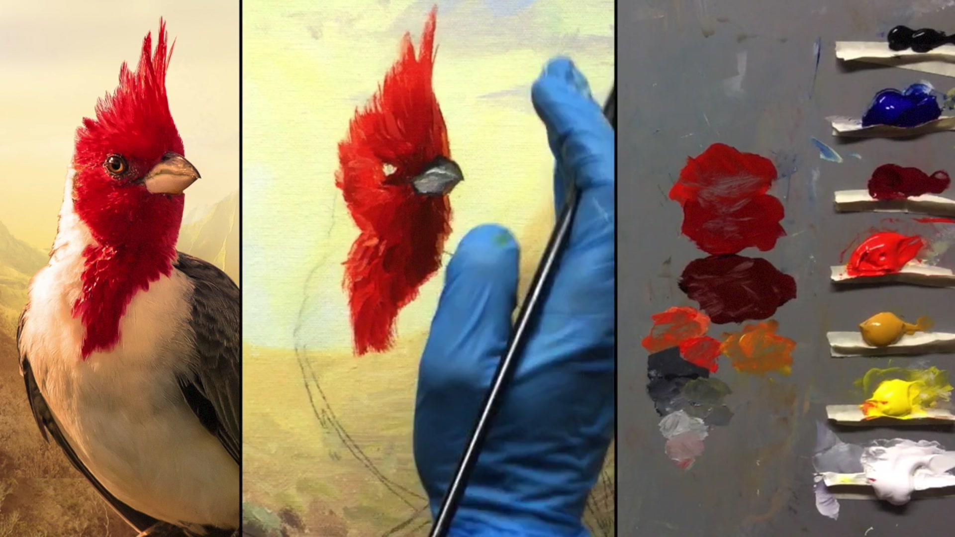 Step 10 — Painting the bird's eye (video frame from the lesson)