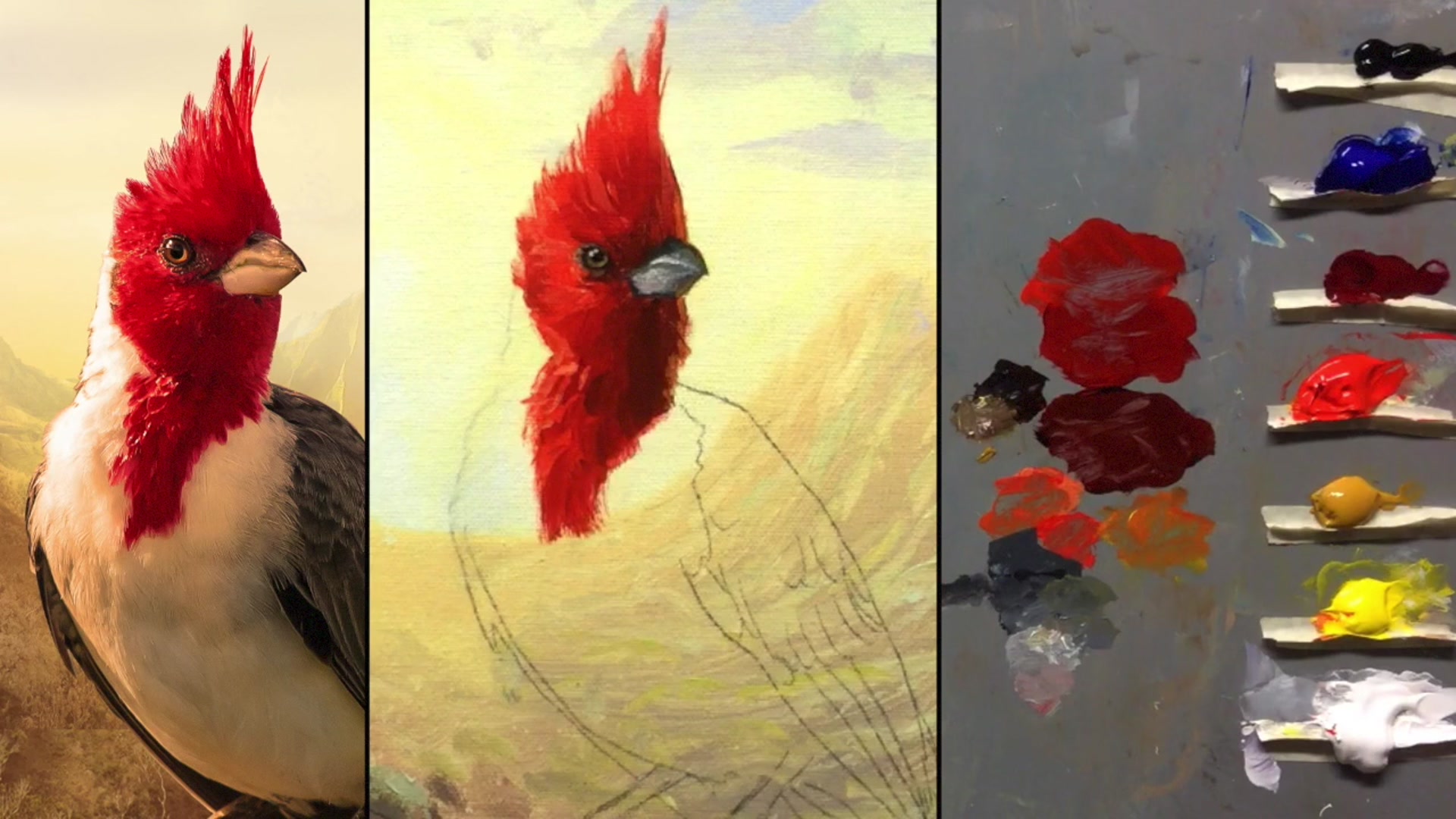 Step 11 — Painting the bird's wing (video frame from the lesson)