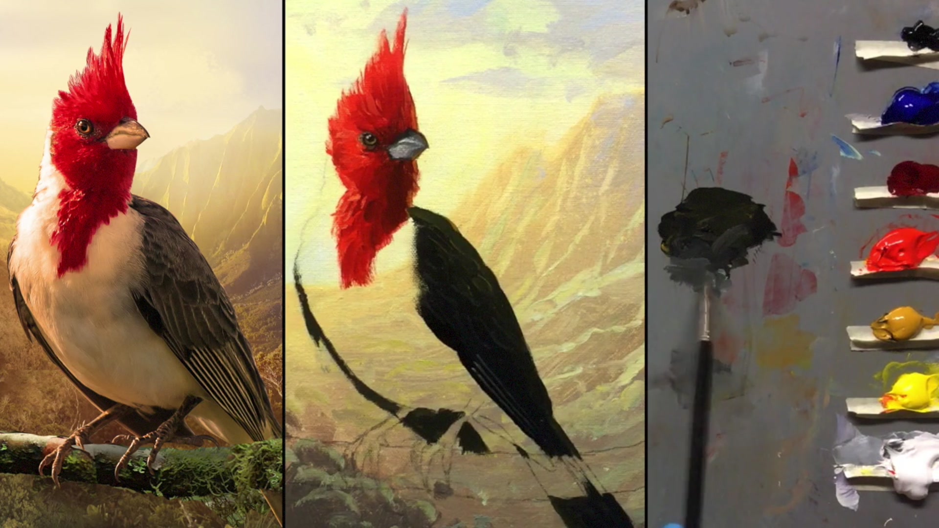 Step 12 — Painting the bird's body (video frame from the lesson)