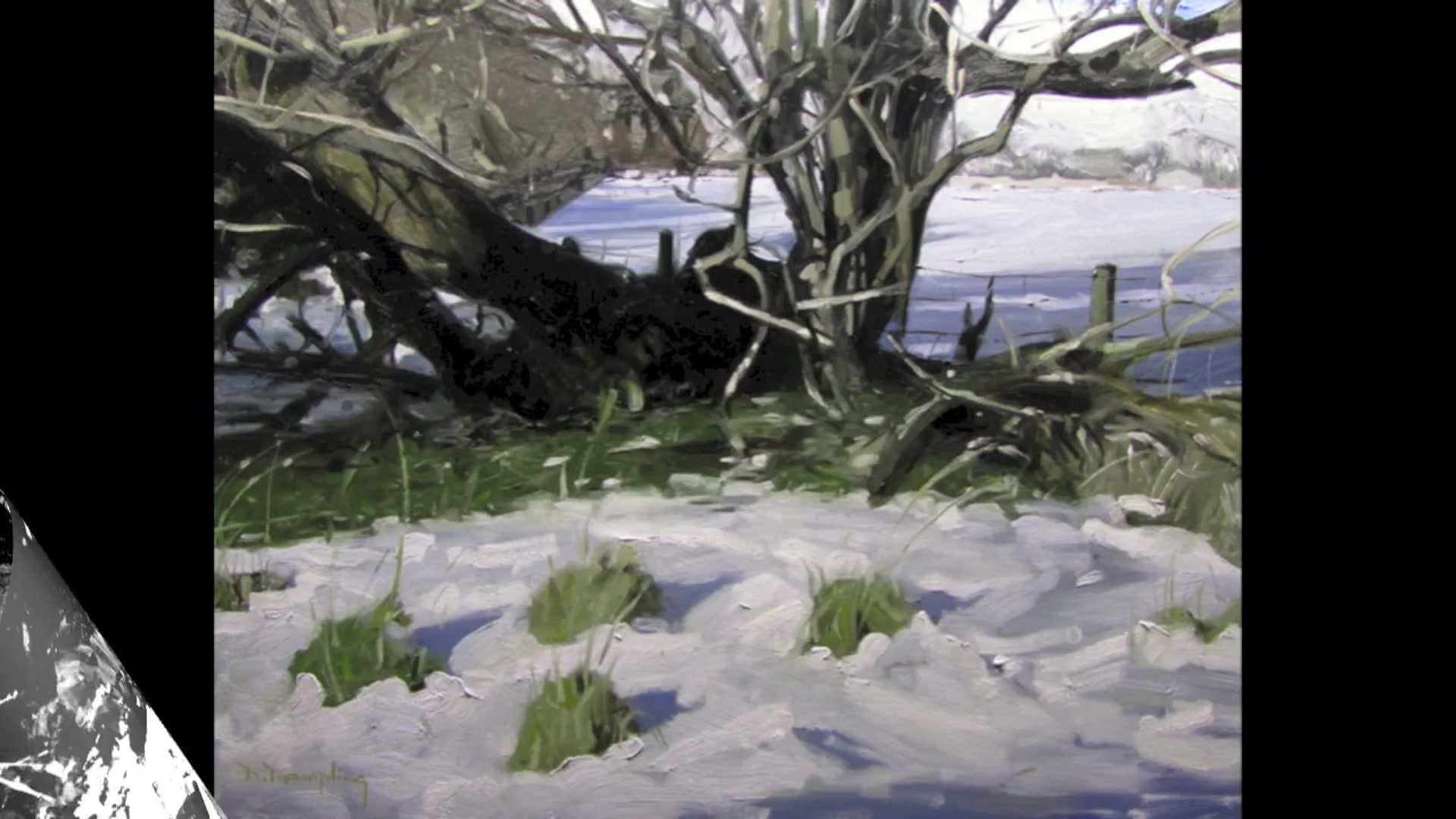 Step 2 — Successful No Tan designs (video frame from the lesson)