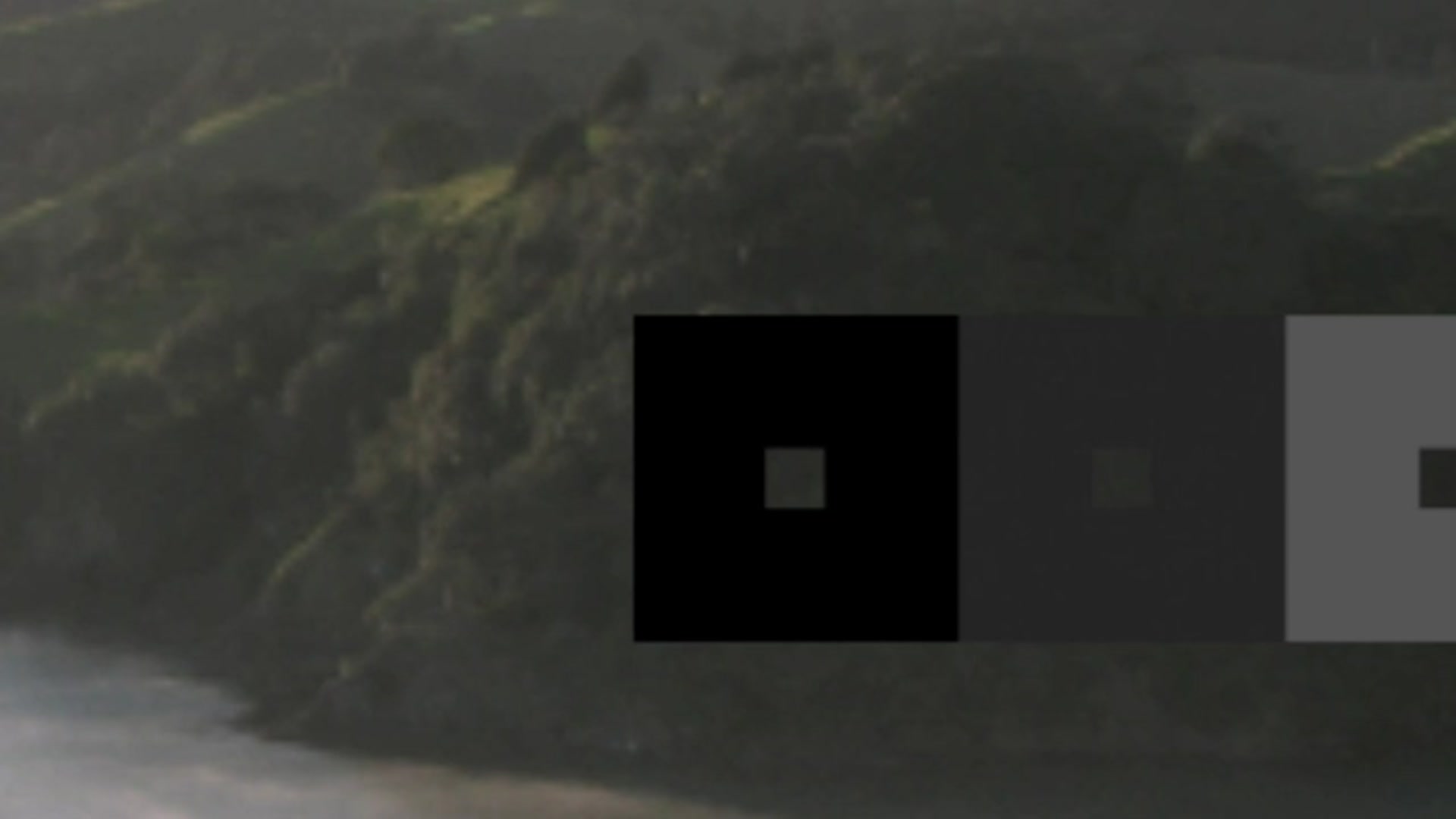 Step 5 — Using a Value Scale (video frame from the lesson)