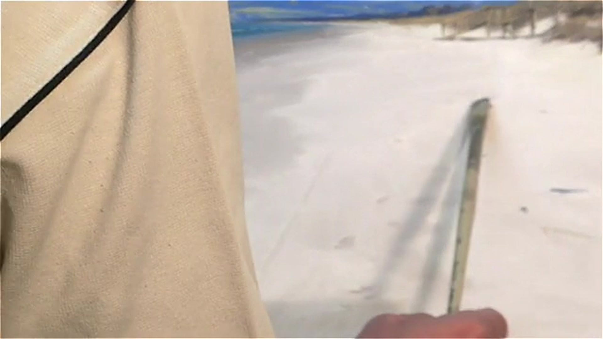 Step 17 — Painting Seaweed and Texture (video frame from the lesson)