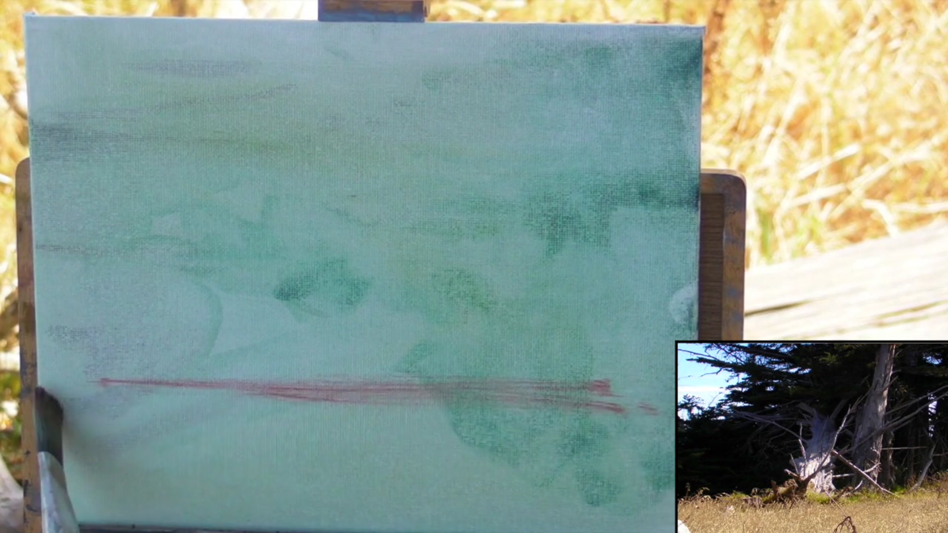 Step 2 — Canvas Preparation (video frame from the lesson)