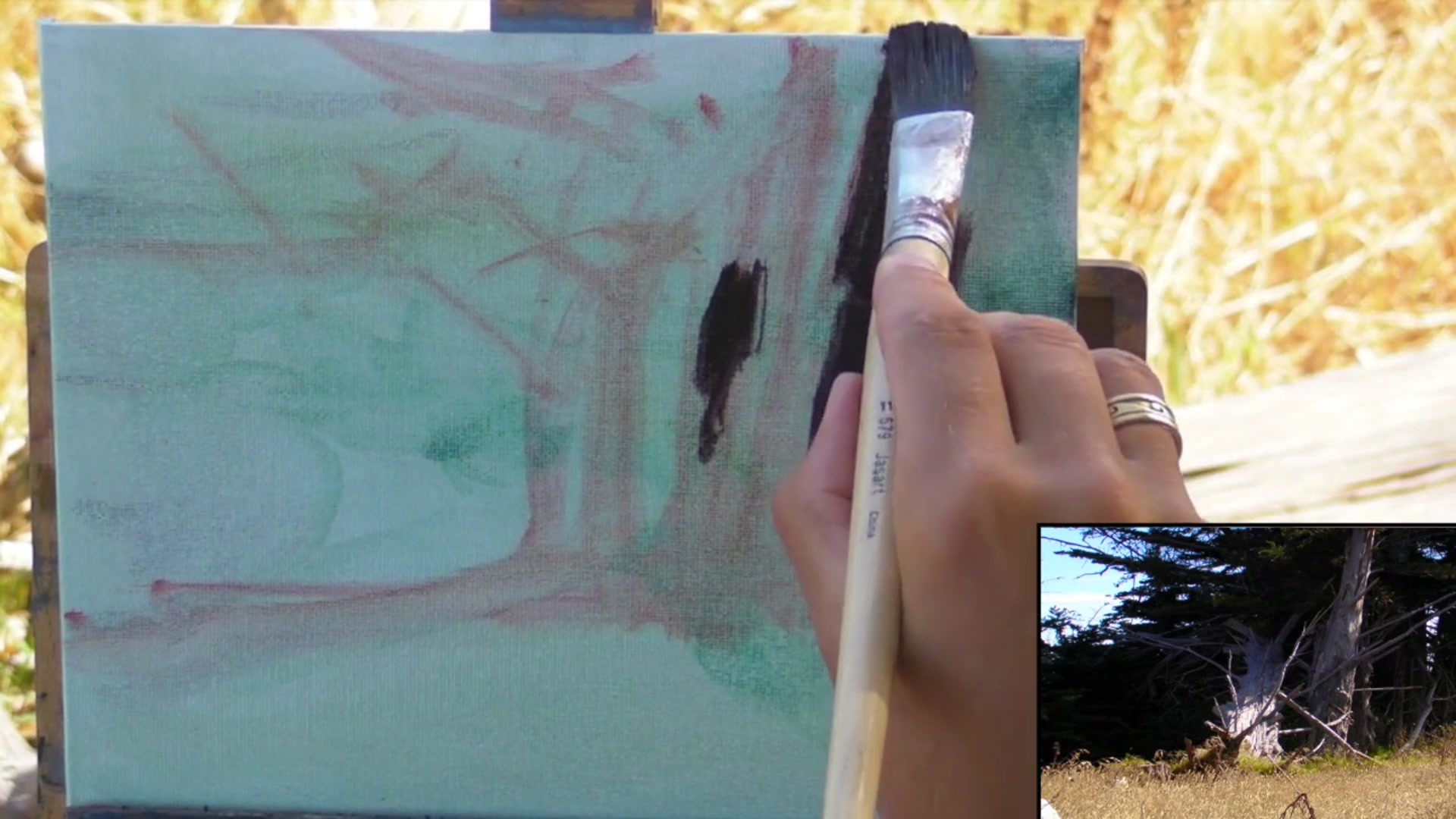 Step 5 — Laying in the Darks (video frame from the lesson)