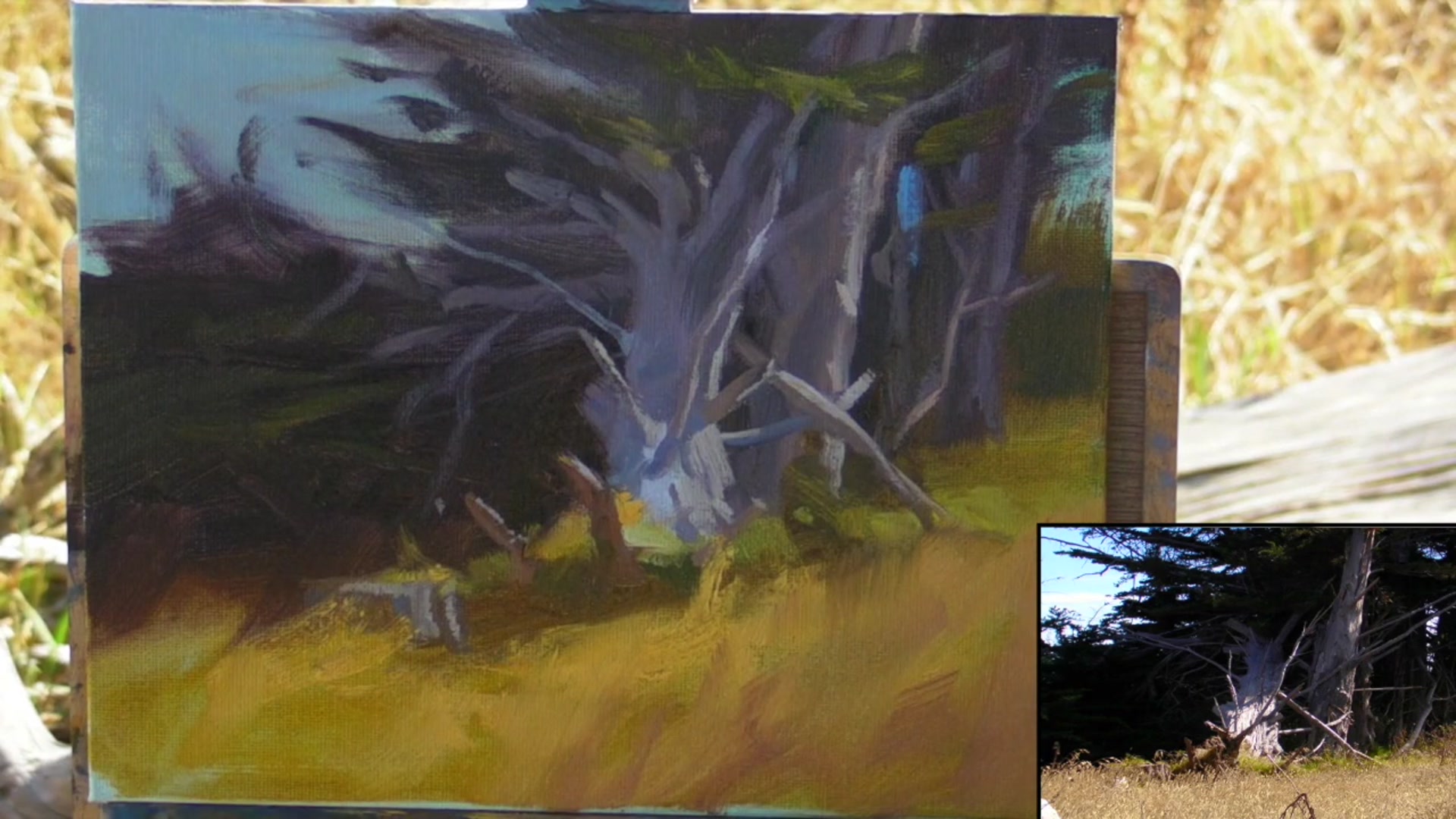 Step 27 — Infused Light Technique (video frame from the lesson)