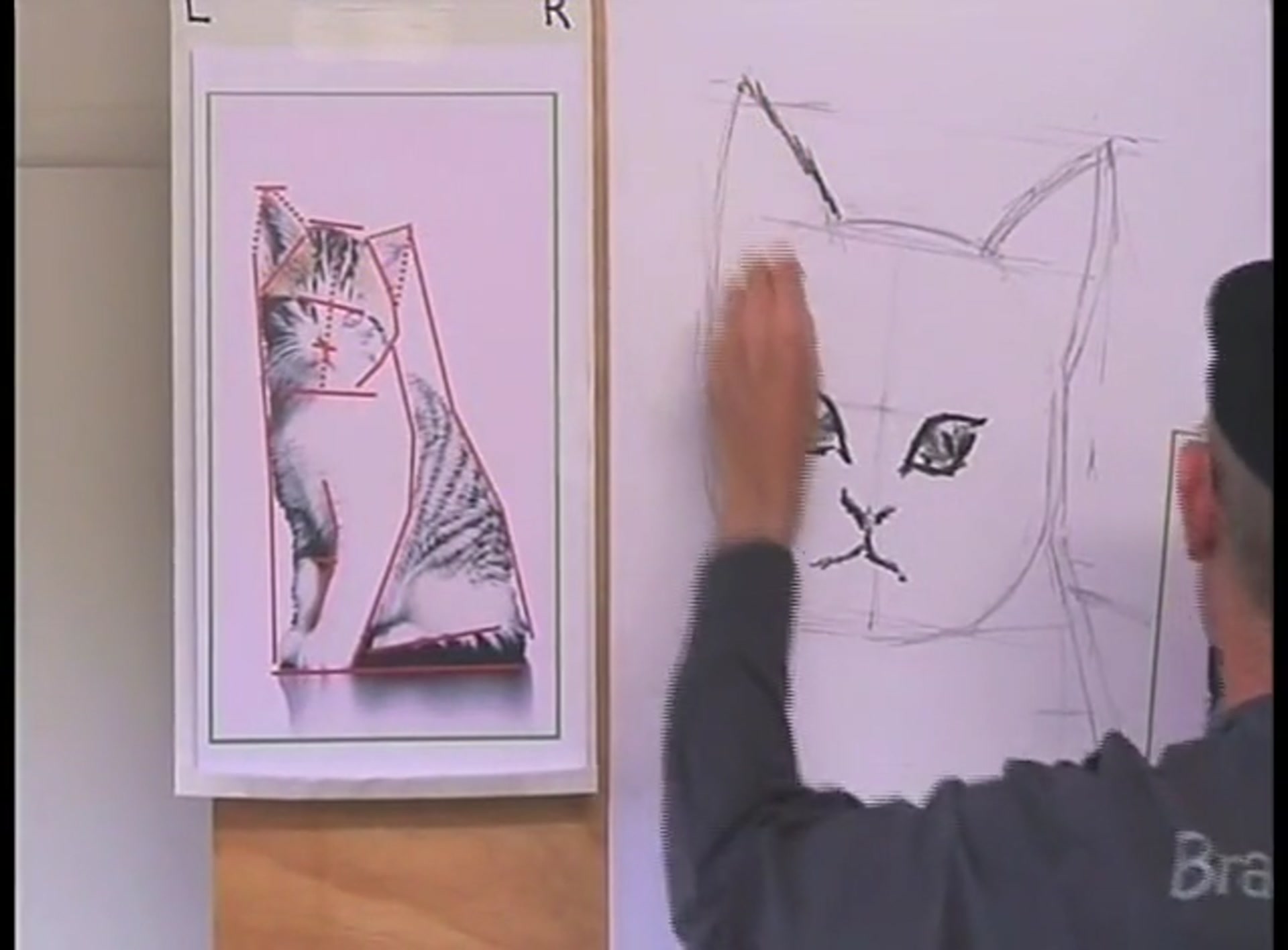 Step 14 — Adding fur texture (video frame from the lesson)