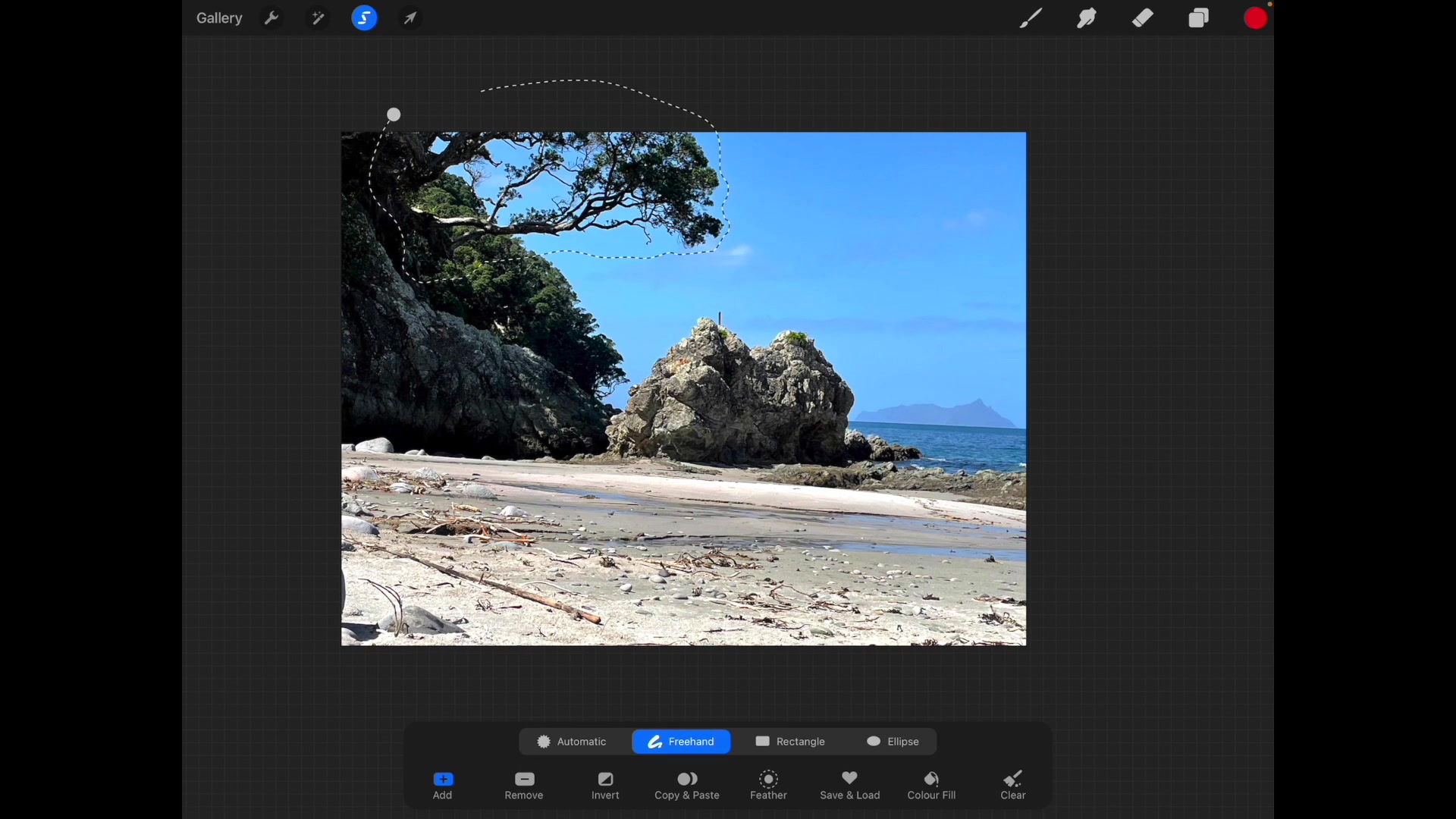 Step 2 — Adjusting Composition in Procreate (video frame from the lesson)