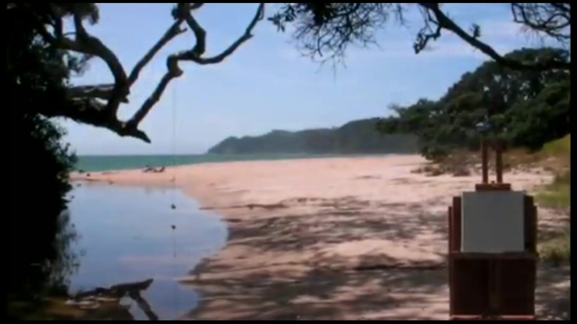 Step 1 — Viewfinder and Composition (video frame from the lesson)