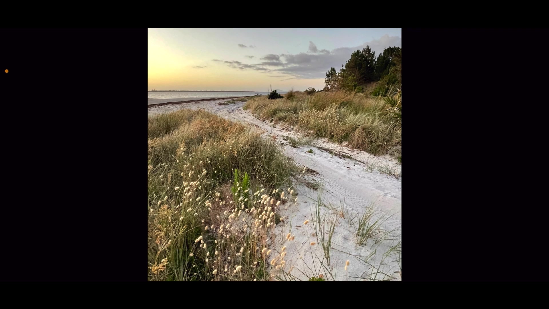 Step 1 — Photo Editing for Painting Reference (video frame from the lesson)