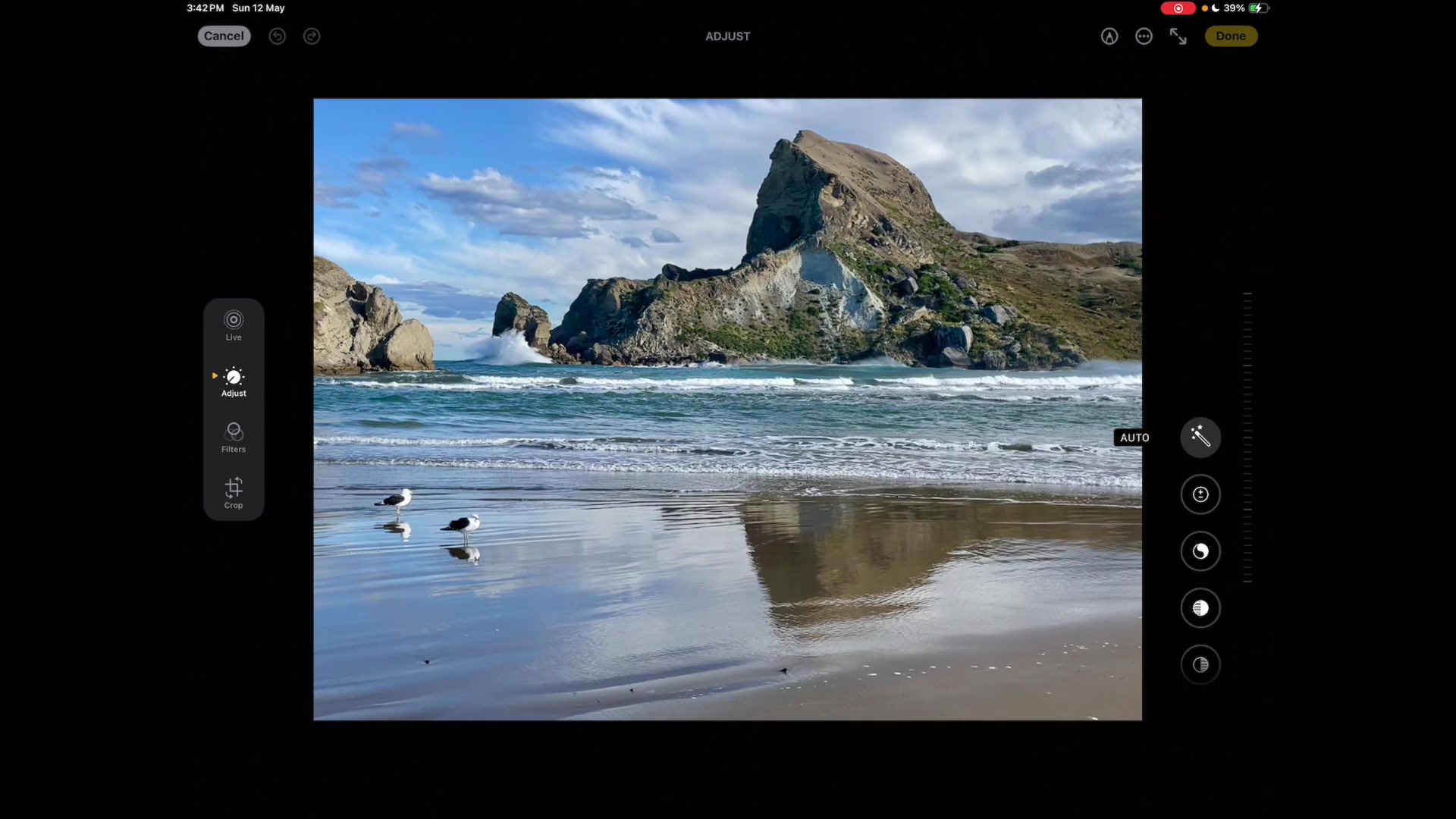 Step 2 — Editing the photo for painting (video frame from the lesson)