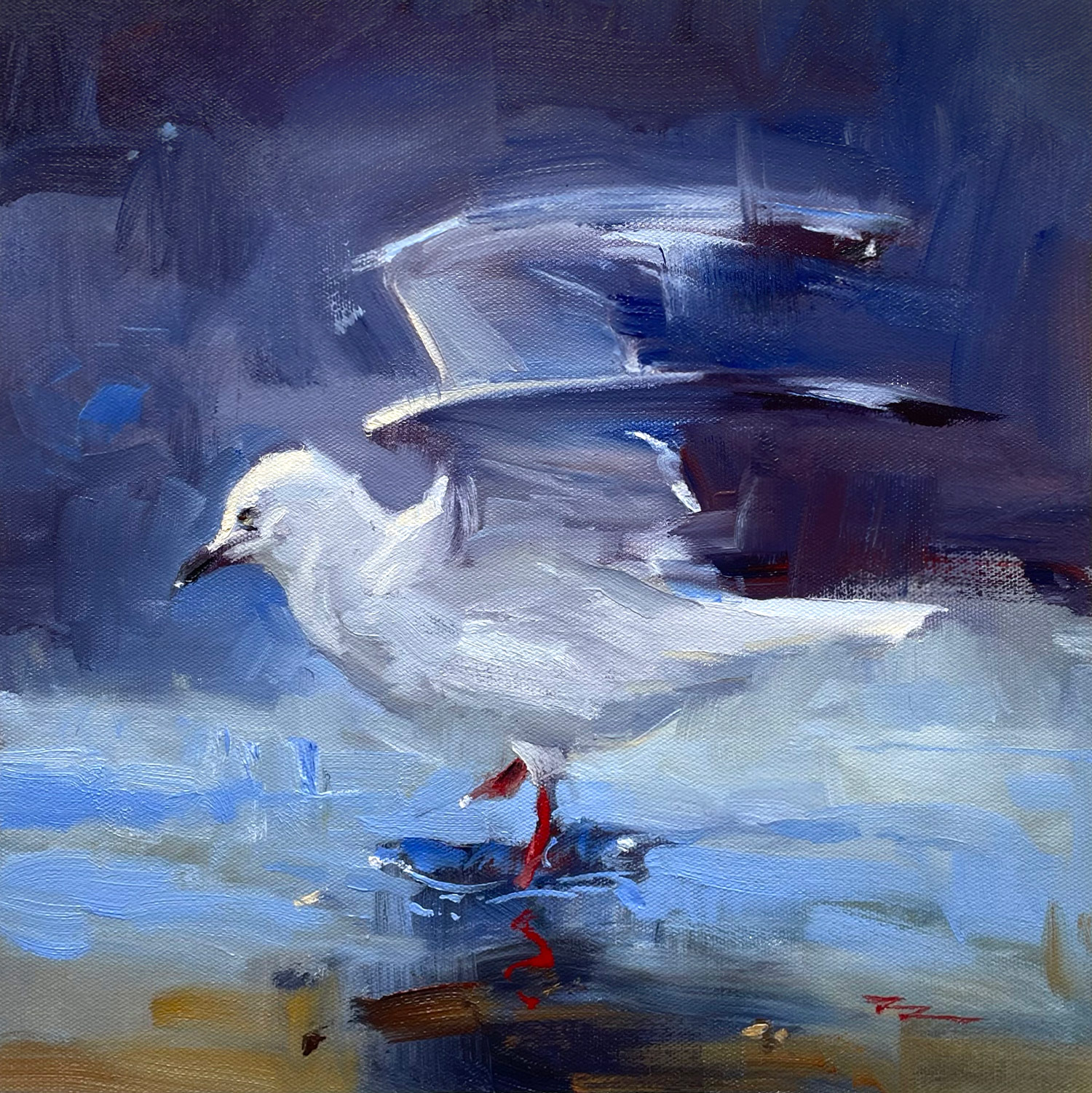 "The Dancing Seagull" 15x15" Oil on Canvas