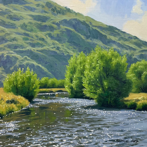 Summer Willows