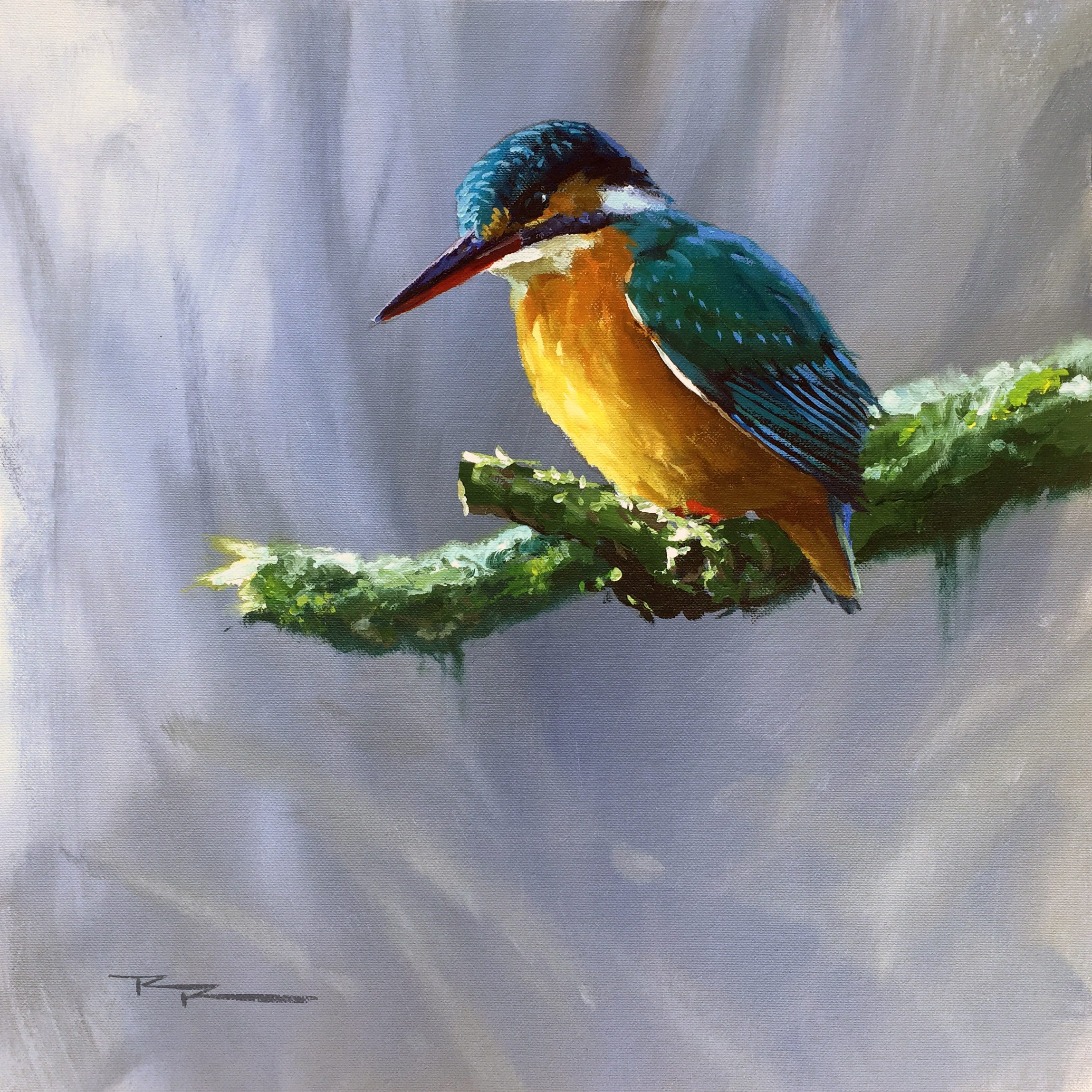 "Kingfisher" 15 x 15" Acrylic on Canvas by Richard Robinson.