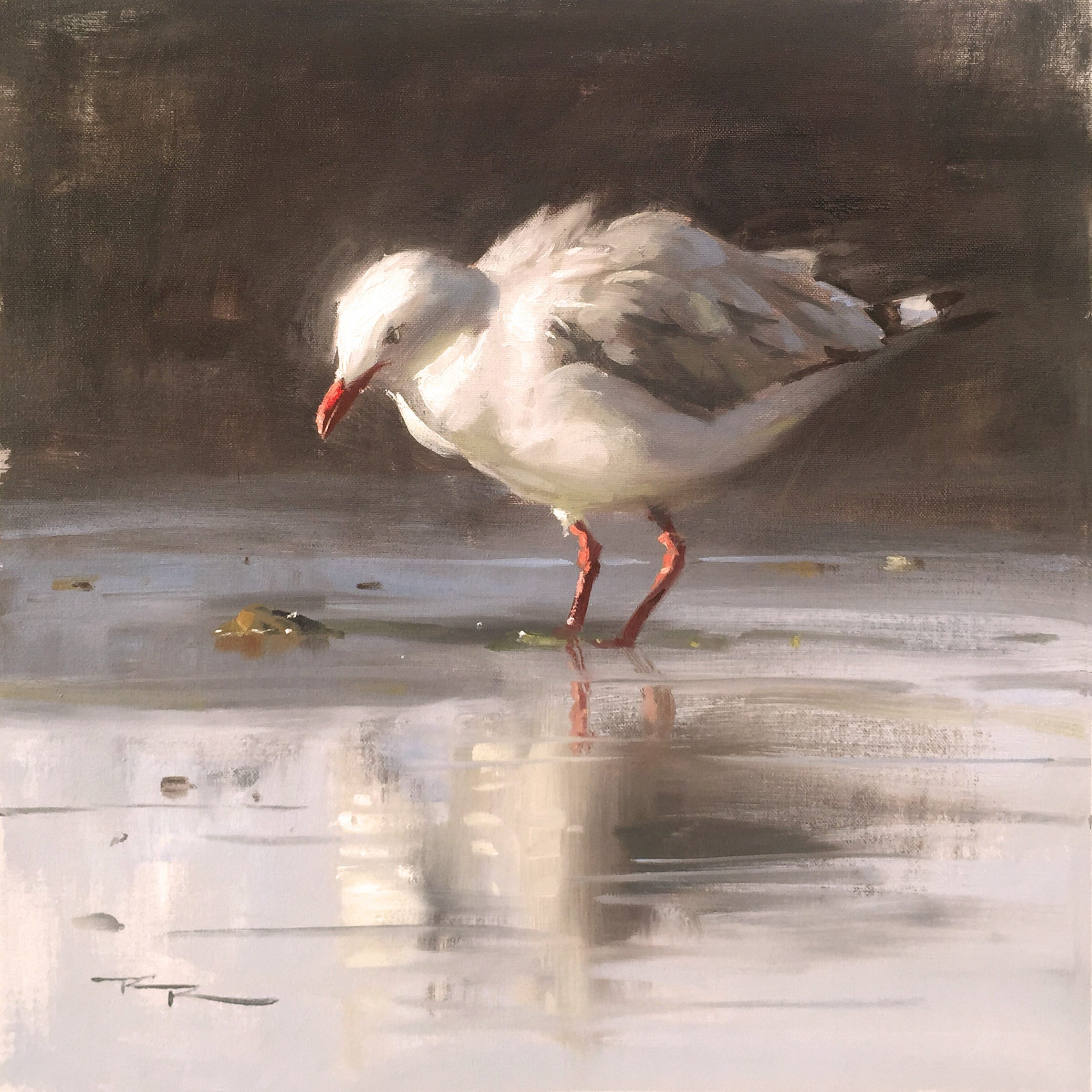 "Jonathan Seagull" 15 x 15" Oil on Canvas by Richard Robinson.