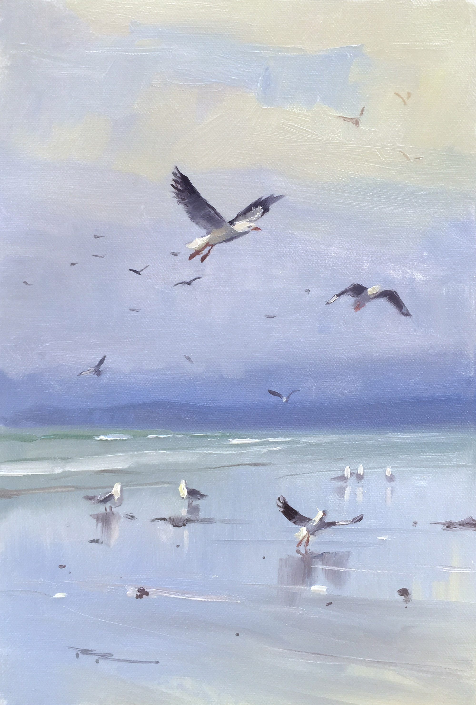 "Seagulls" 8 x 12" Oil on Canvas by Richard Robinson.