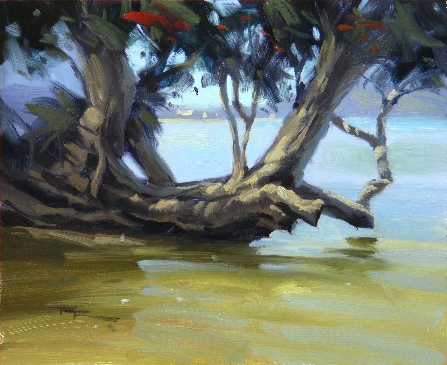 Northland Summer