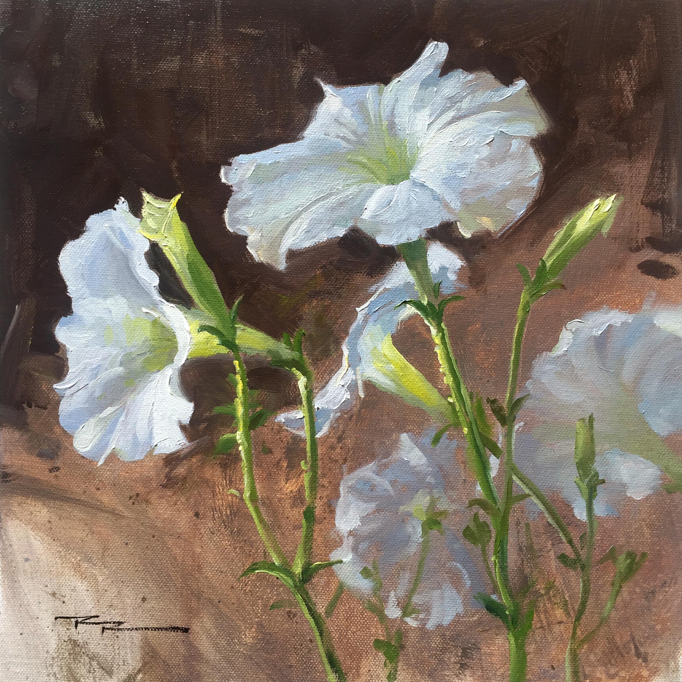 "Petunias" 11 x 11" Oil on Canvas by Richard Robinson.