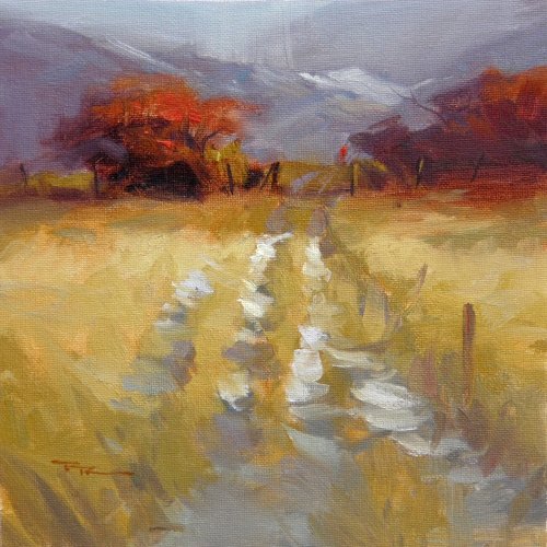 Mountain Path
