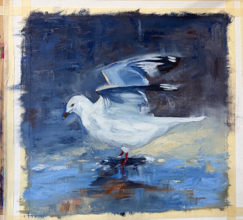 Liz’s dancing seagull