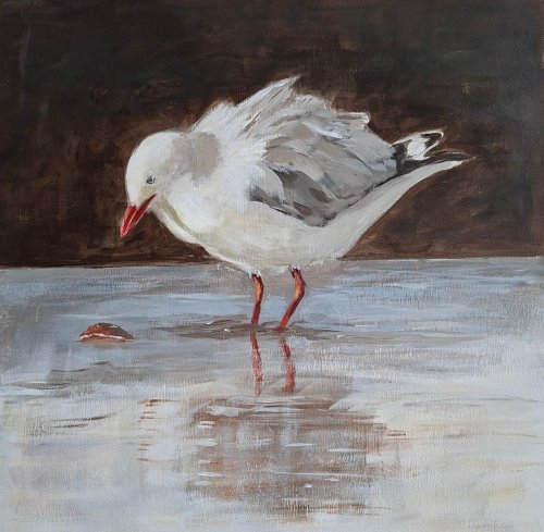 seagull